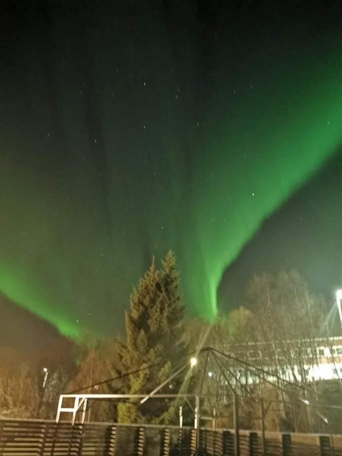 Aurora Rooms In Shared Hsuse Nr3 We Are Doing Northen Lights Trip, Reaindear Trip And Sommaroy Fjord Trips Tromsø Exterior foto